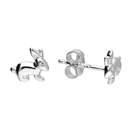 Sterling Silver Earring