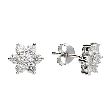 Sterling Silver Earrings