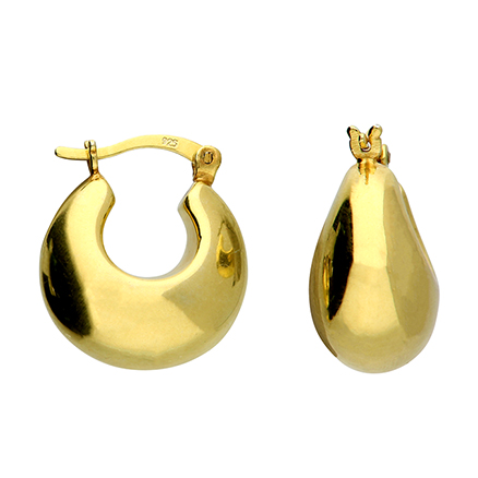 Sterling Silver Earrings