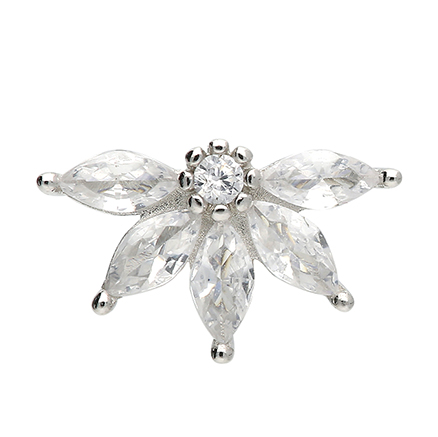 Sterling Silver Earring