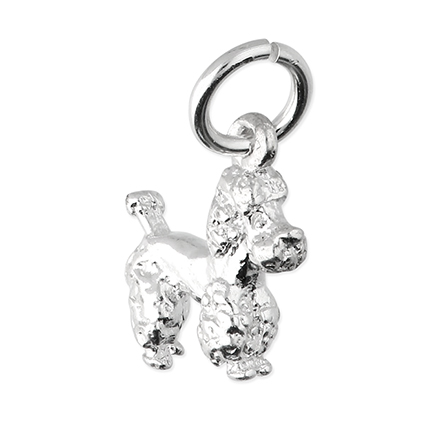 Sterling Silver Charm