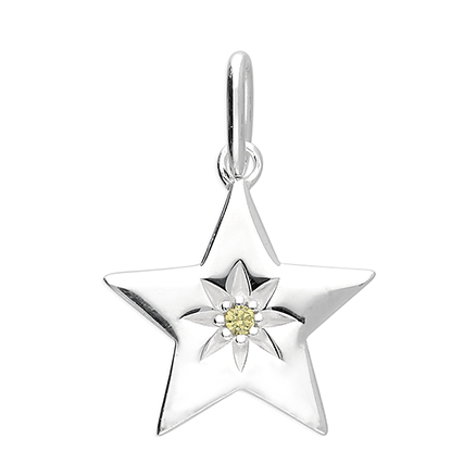 Sterling Silver Pendant