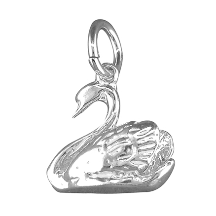 Sterling Silver Charm