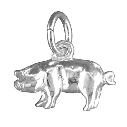 Sterling Silver Charm