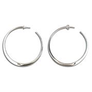 Sterling Silver Earring