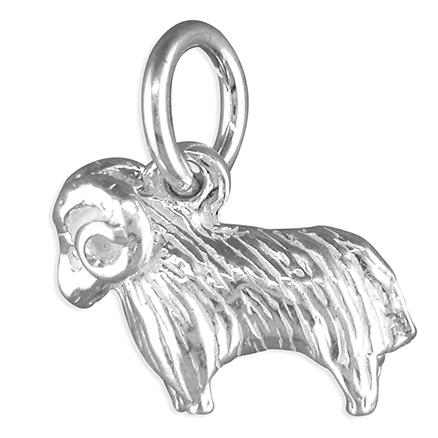 Sterling Silver Charm