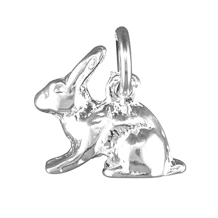 Sterling Silver Charm