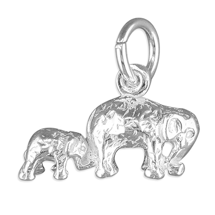 Sterling Silver Charm