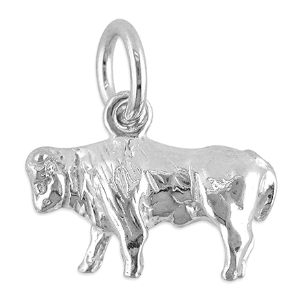 Sterling Silver Charm