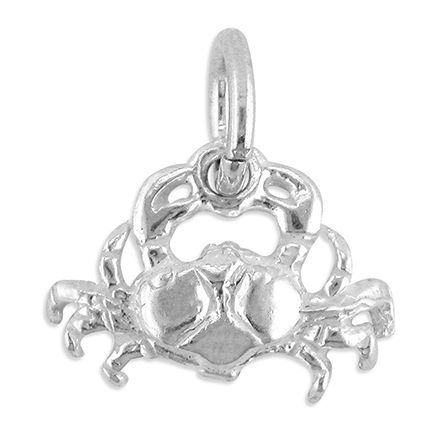 Sterling Silver Charm