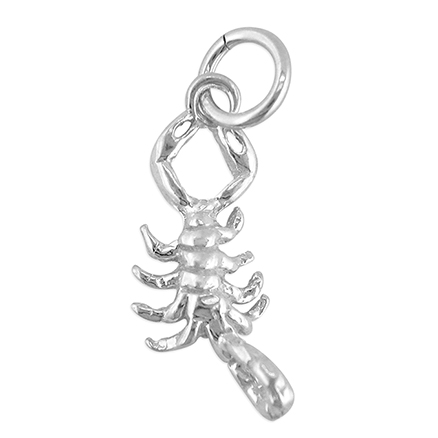 Sterling Silver Charm