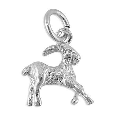 Sterling Silver Charm