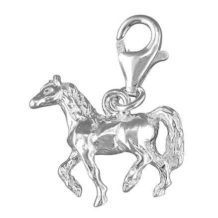 Sterling Silver Charm