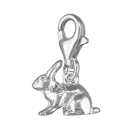 Sterling Silver Charm