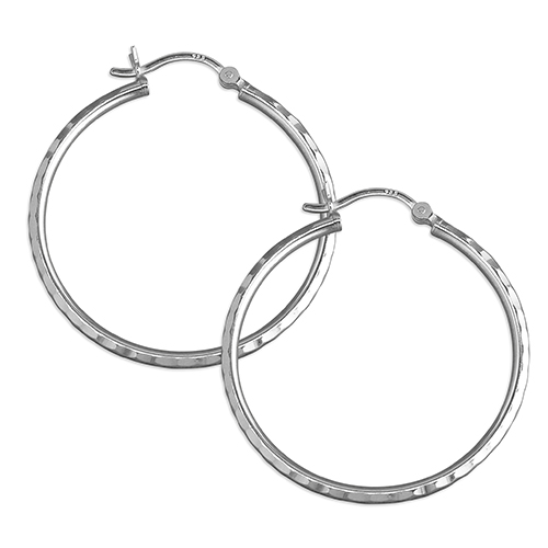 Sterling Silver Earring