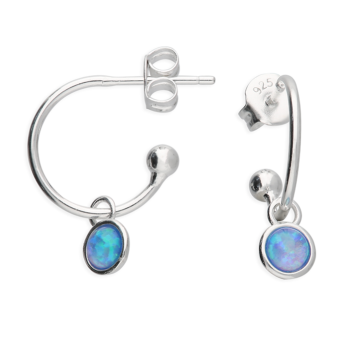 H6876/S - Sterling Silver Earrings