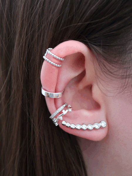 Blog Ear 13