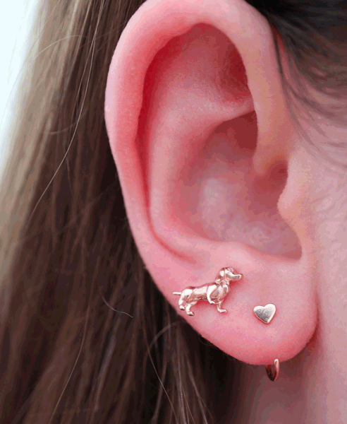 Blog Ear 4